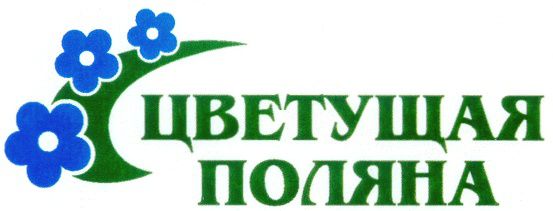 Цветущая Поляна Интернет Магазин Великий Устюг