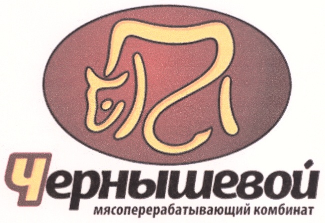 Чернышевой Магазин Липецк