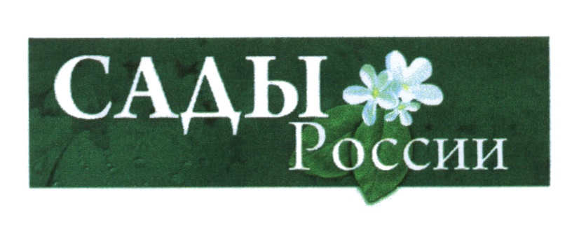 Сады россии челябинск фото