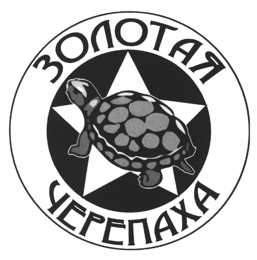 Черепаха Магазины Партнеры В Минске